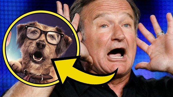 Robin Williams