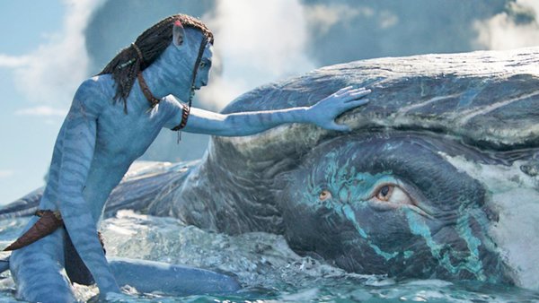 Will 'Avatar: The Way of Water' be worth the wait? - Loquitur