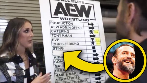 AEW All Access CM Punk