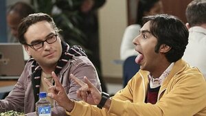 The Big Bang Theory Leonard Raj