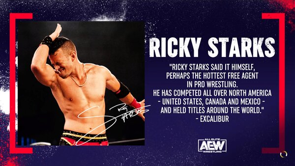 AEW Fight Forever Load Screen Ricky Starks