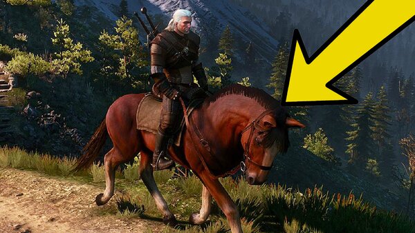 Witcher 3 Horse