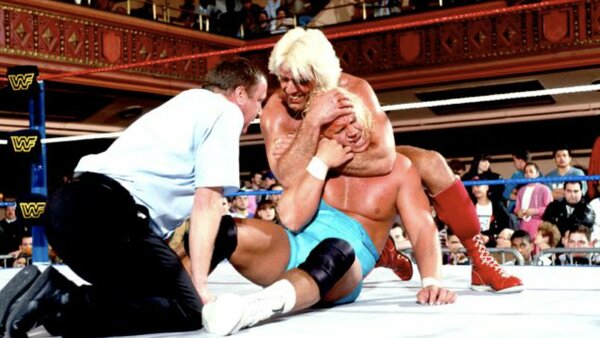 Ric Flair Mr Perfect